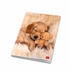 Papírenské zboží - Pigna Dolci Cuccioli Schulheft - A4, liniert, 21 Blatt, verschiedene Motive