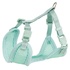 Papírenské zboží - JUNIOR SOFT Geschirr mit Leine für Welpen, Mint M-L: 36-50 cm/10 mm, 2,00 m