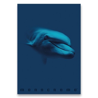 Papírenské zboží - Školní sešit Monocromo Blue A4, linkovaný, 40 listů, mix motivů