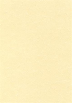Papírenské zboží - Texturovaný papír, pergamenový efekt, šampaň, A4, 95g, APLI [100 listů]