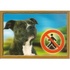 Papírenské zboží - 3D-PSI-Tag, Staffordshire Terrier